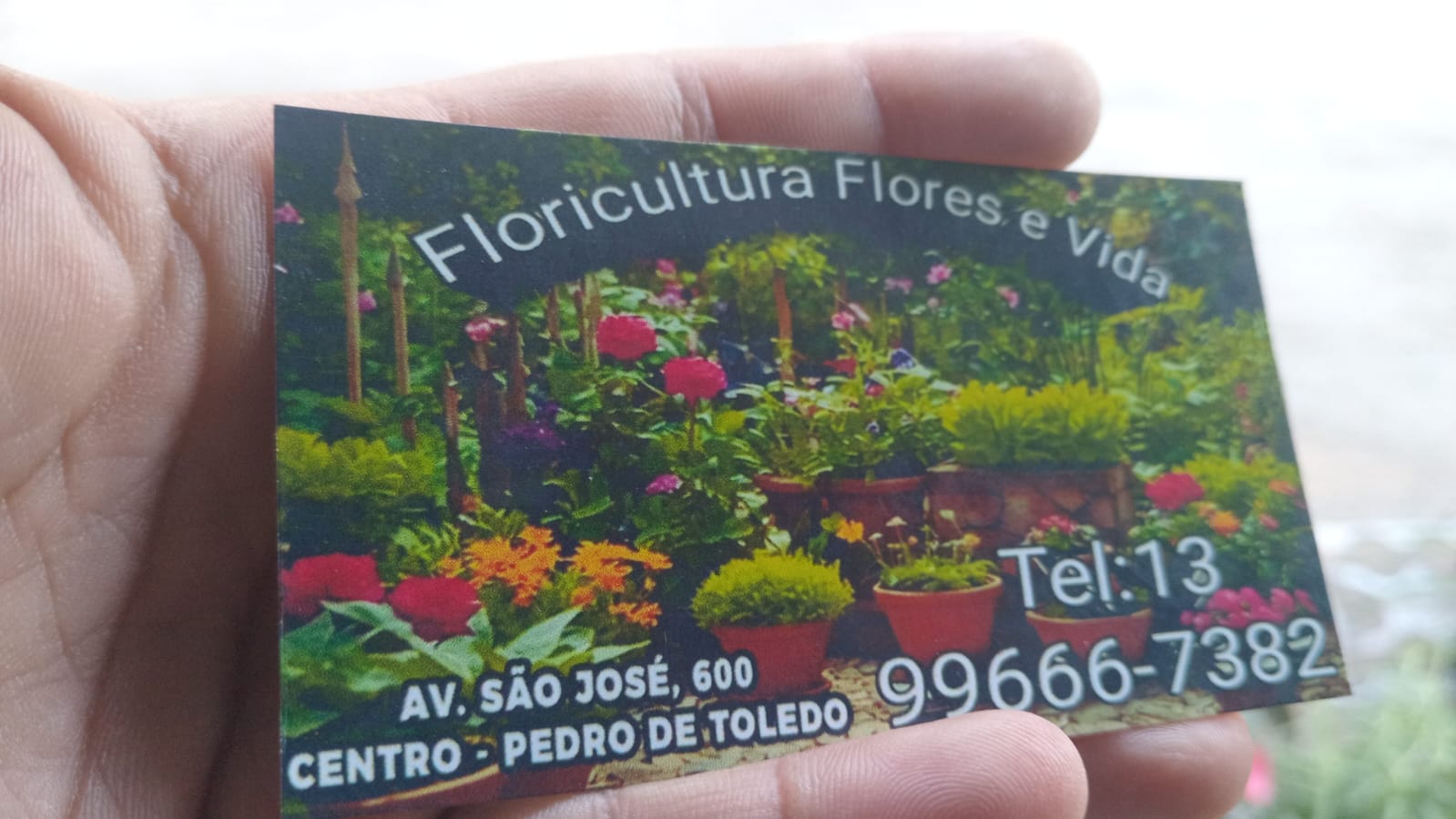 floricultura